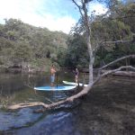 Basin SUP Safari Basin SUP Safari