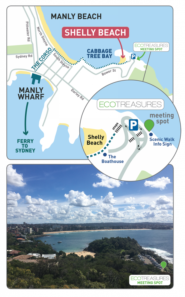 Manly map ecotreasures meeting spot shelly beach