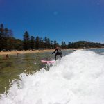 Palm beach day tour surfing private touring Palm beach day tour surfing private touring