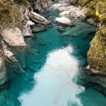 ECOTREASURES Blog NZ trip ECOTREASURES Blog NZ trip
