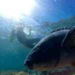 snorkel in beautiful manly snorkel in beautiful manly