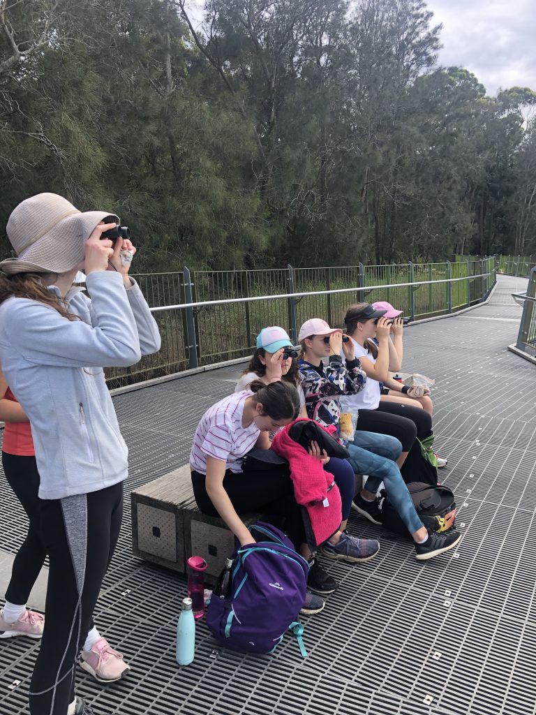 Narrabeen Nature Quest: Duke of Ed Exploration