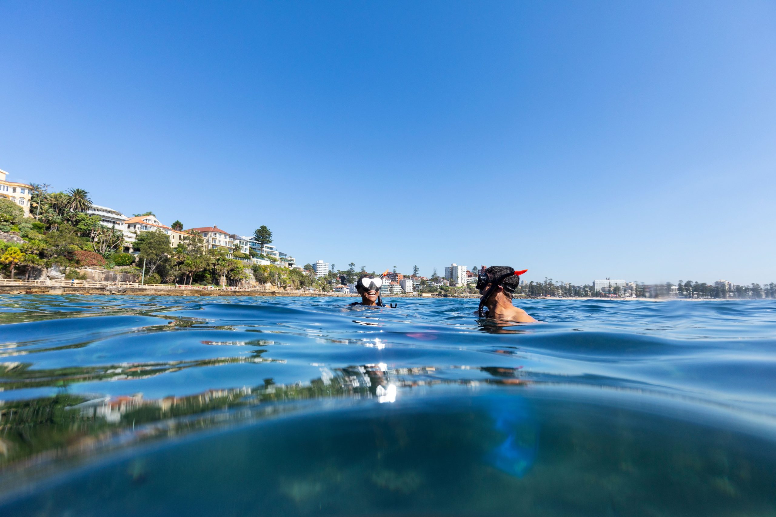 snorkel shelly beach manly with ecotreasures
